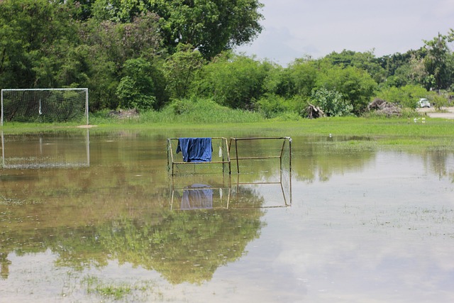 是对运动员 是对运动员