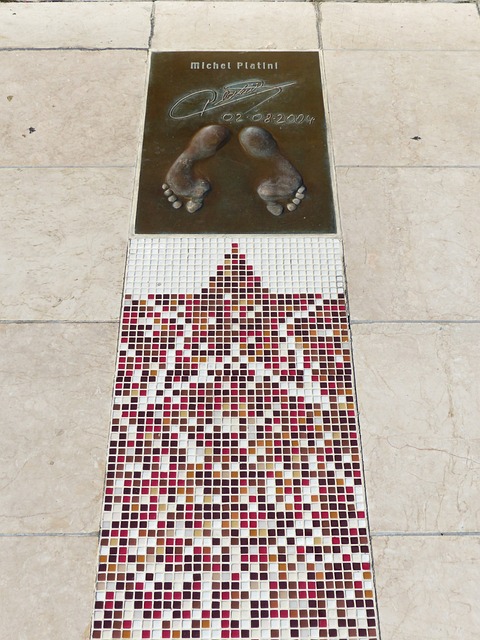 正式退出 正式退出