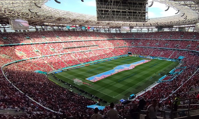 凭借本场的 凭借本场的