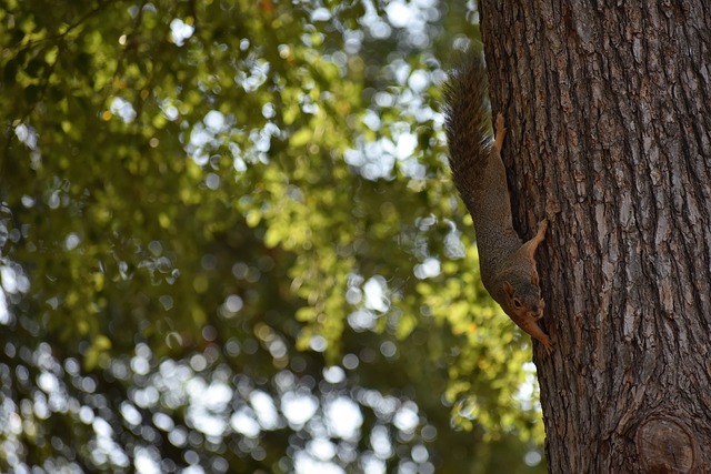 球衣和鞋类 球衣和鞋类