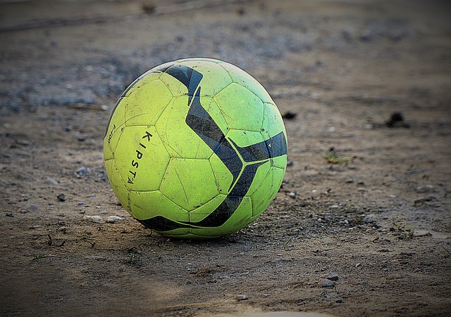 与森林狼球 与森林狼球