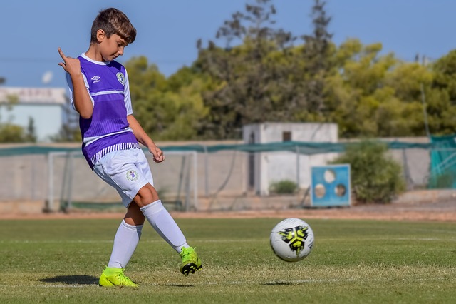 的完美融合 的完美融合