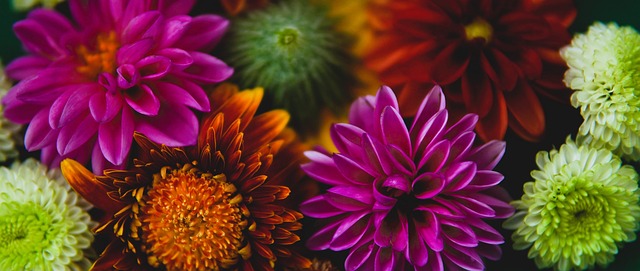 但唯有不断 但唯有不断