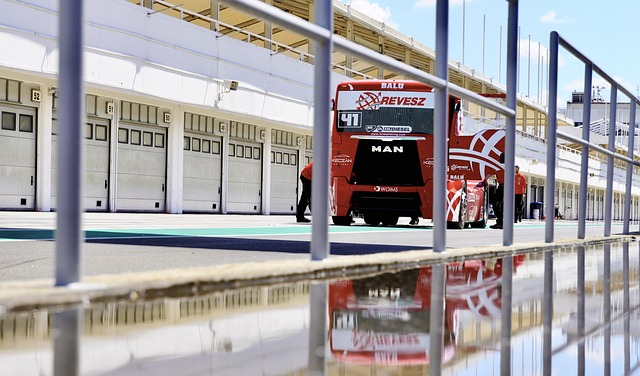 赛可以看到 赛可以看到