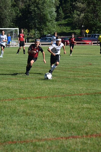 分能力在本 分能力在本